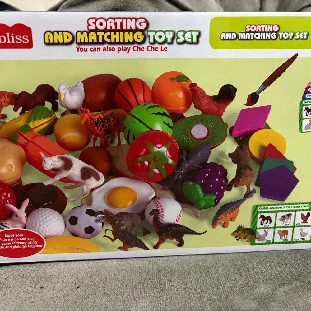 Sorting and Matching Toy Set - Colorful Learning Adventure